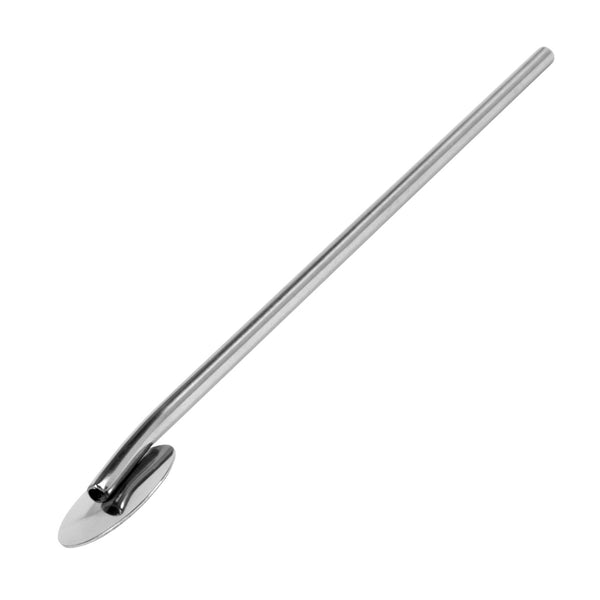 Stainless steel Collins spoon straw on a white background