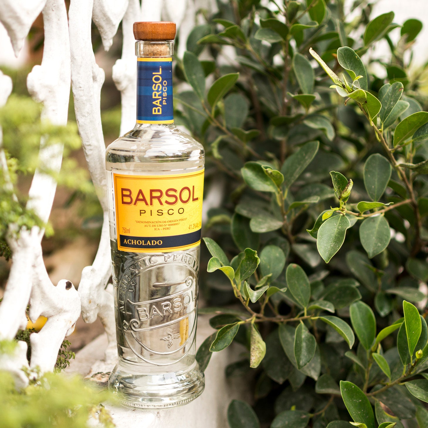 Barsol Acholado Pisco 41,3% 70 cl