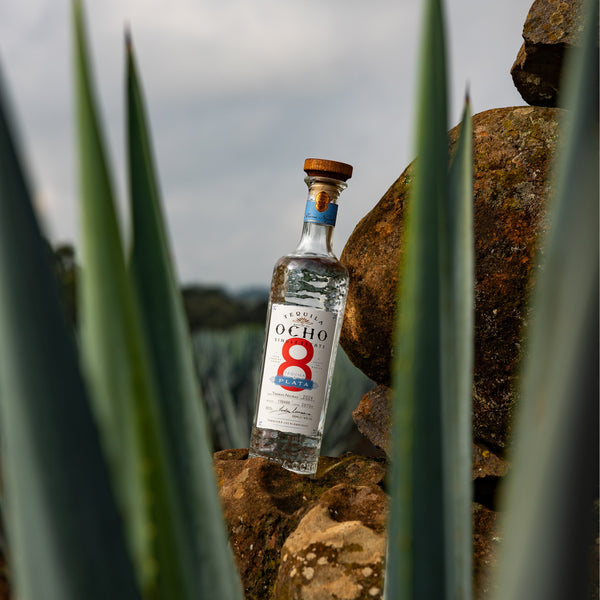 OCHO Plata 40% 50cl