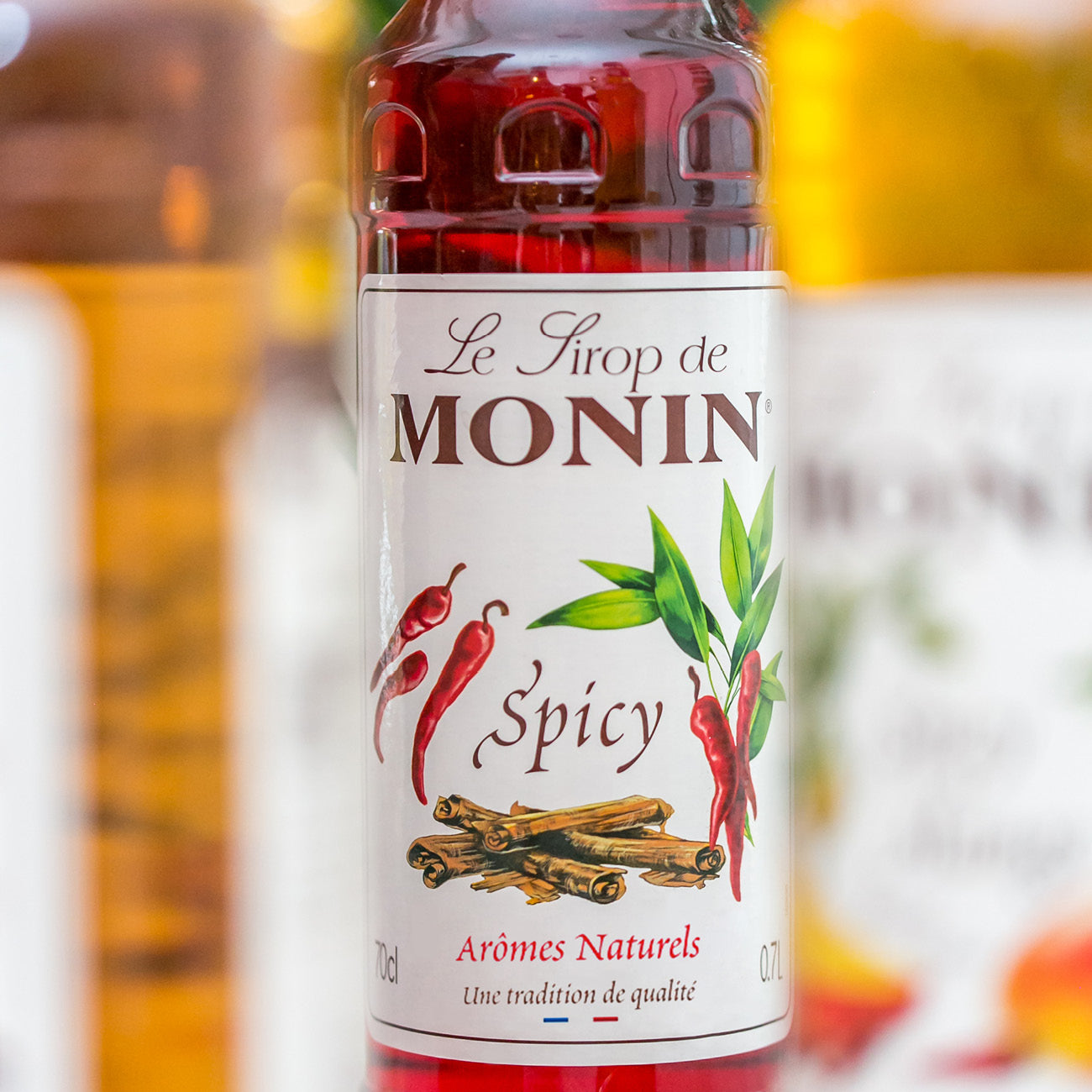 Monin Spicy Syrup 70 cl